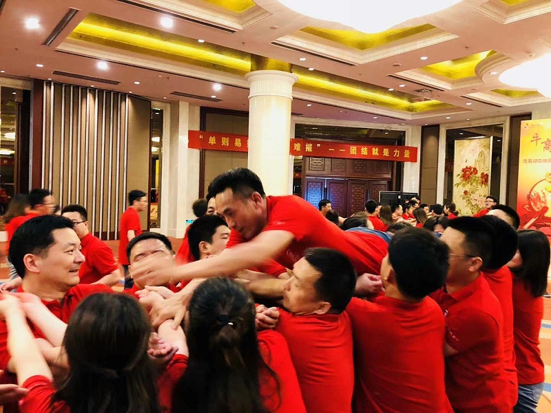 生命之樹(shù)，爬人梯