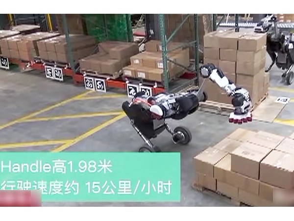 賣了十幾年貨架，天金岡從這幾點教您預防貨架倒塌！